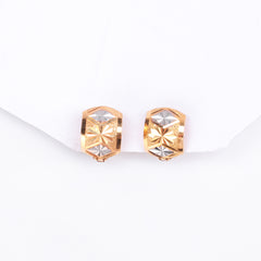 Gleaming Glimmer Earrings