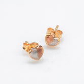 Golden Elegance Earrings