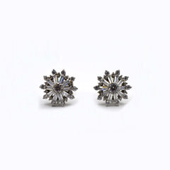 Radiant Zircon Dreams Studs