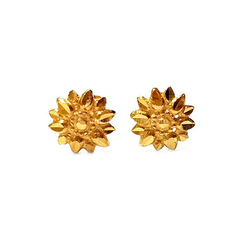 Shimmering Gold Earrings